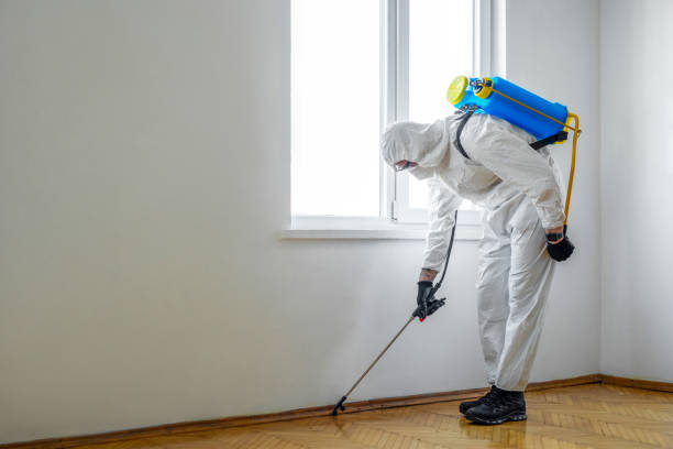 Flea Control Services in Gray, GA